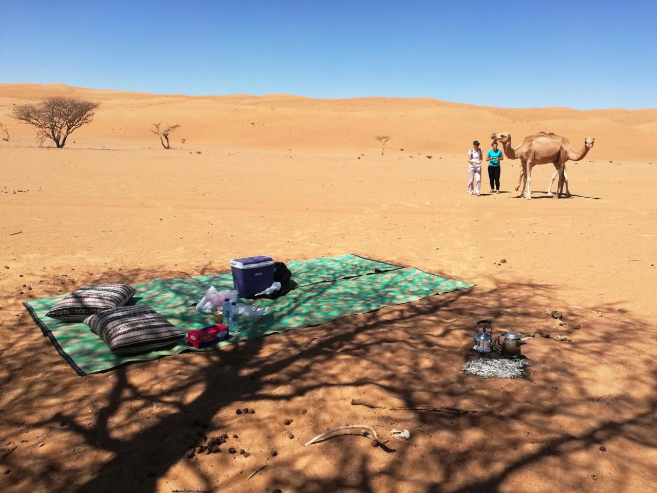 Sand Delight Camp Al Wasil Экстерьер фото
